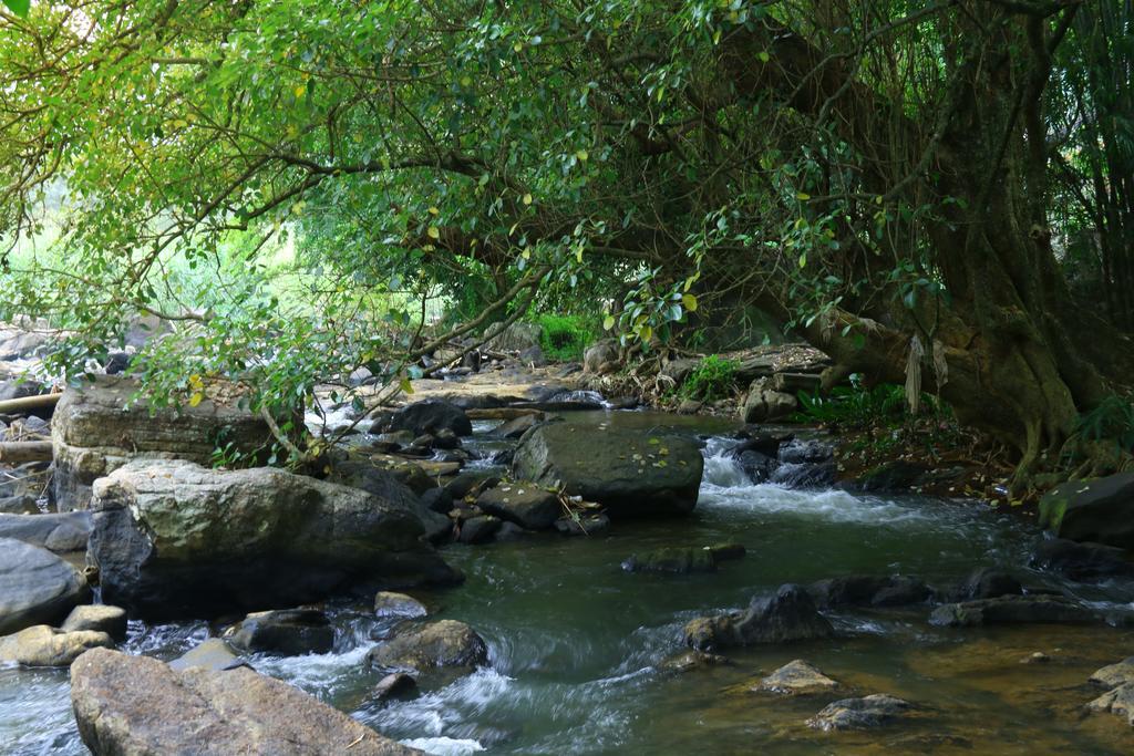 Nivahana Homestay Kandy Dış mekan fotoğraf