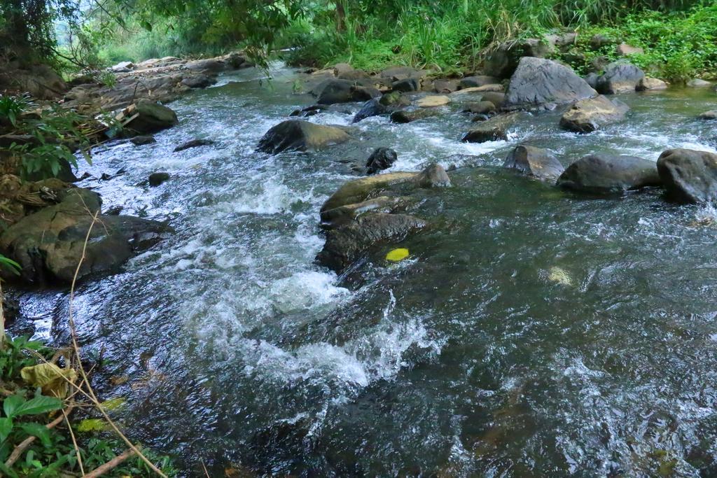 Nivahana Homestay Kandy Dış mekan fotoğraf