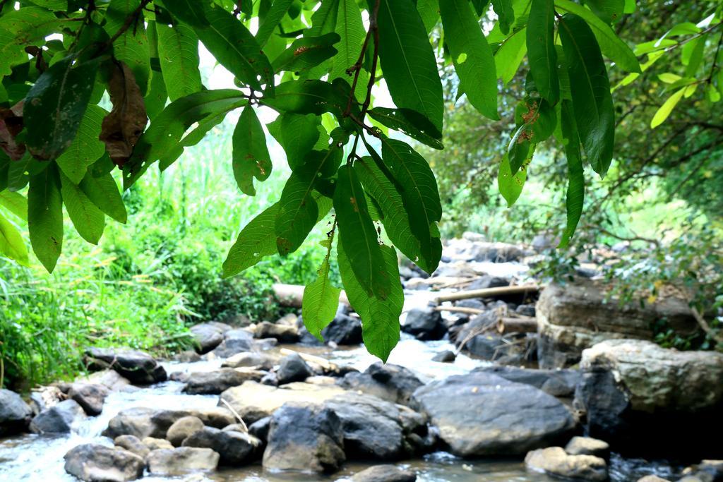 Nivahana Homestay Kandy Dış mekan fotoğraf