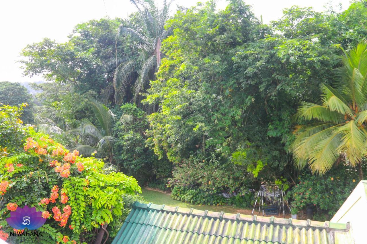 Nivahana Homestay Kandy Dış mekan fotoğraf