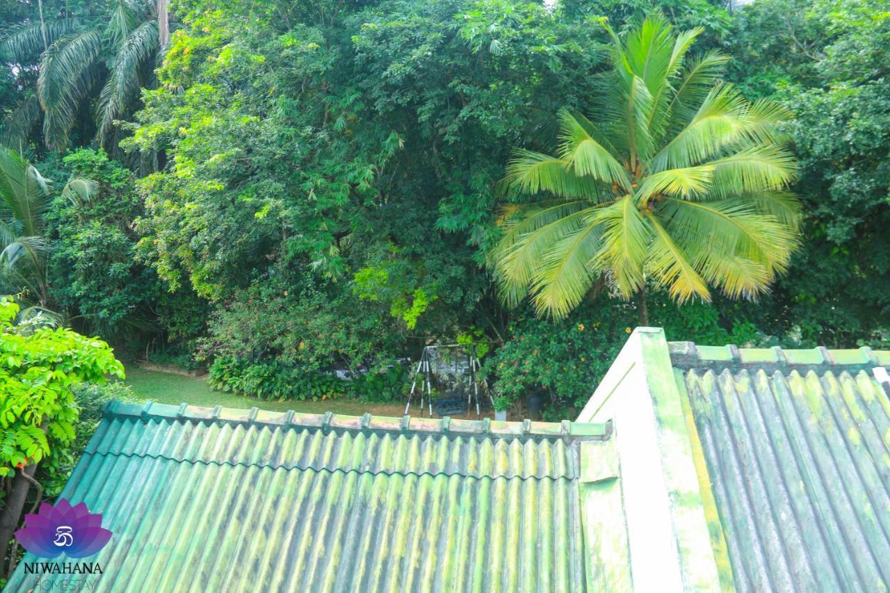 Nivahana Homestay Kandy Dış mekan fotoğraf